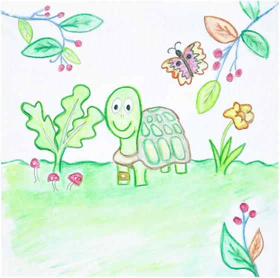Flash- The Tiny Teenage Tortoise